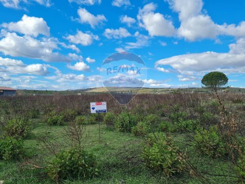 Terreno agricolo a Lentini