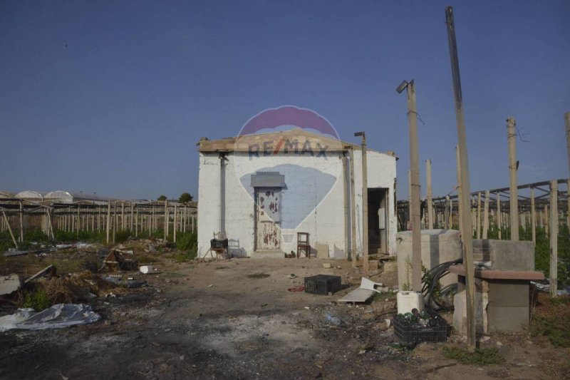 Terreno agrícola em Vittoria