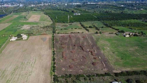 Terreno agrícola en Siracusa