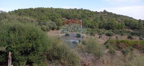 Terreno agrícola en Caltagirone