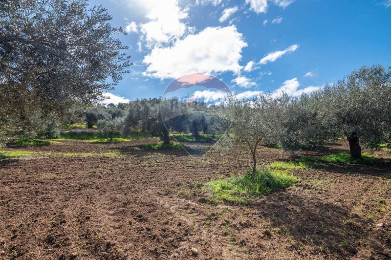Terreno agrícola en Caltagirone