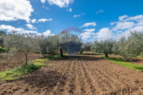 Terreno agricolo a Caltagirone