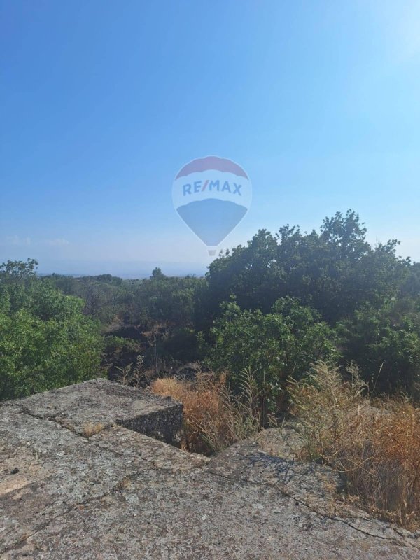 Landwirtschaftliche Fläche in Belpasso