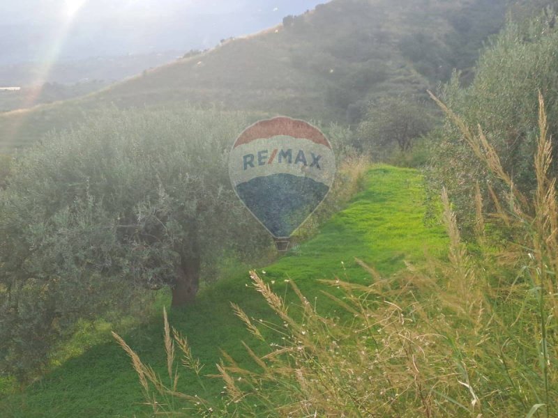 Terreno agrícola em Calatabiano