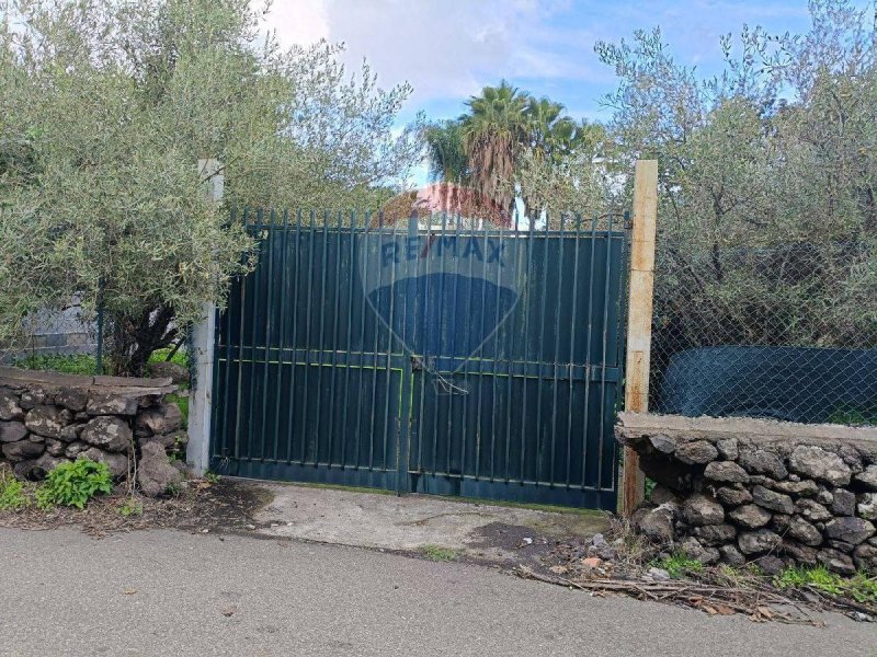 Terrain agricole à Zafferana Etnea