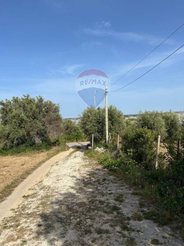 Сельскохозяйственный участок в Пакино