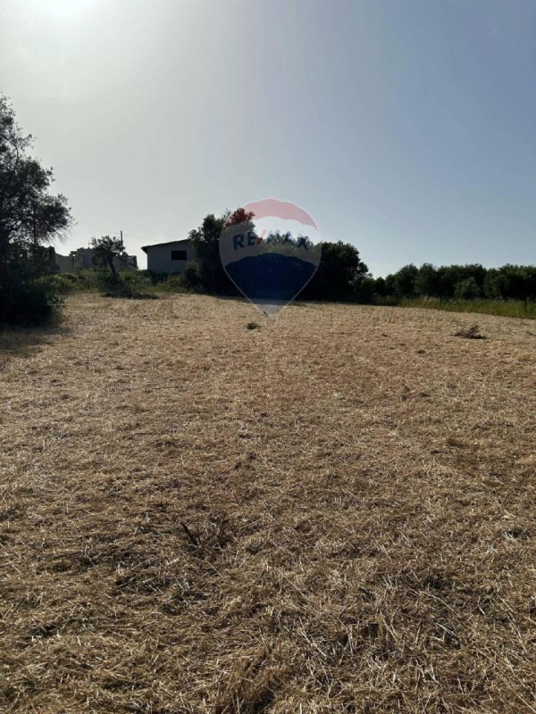 Сельскохозяйственный участок в Пакино