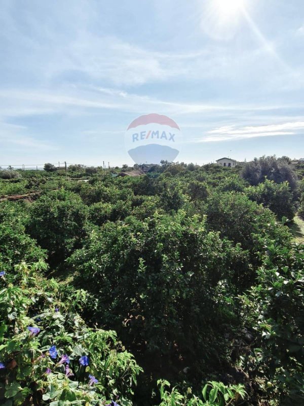 Building plot in Acireale