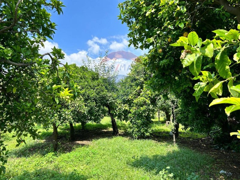 Terreno agrícola en Aci Sant'Antonio