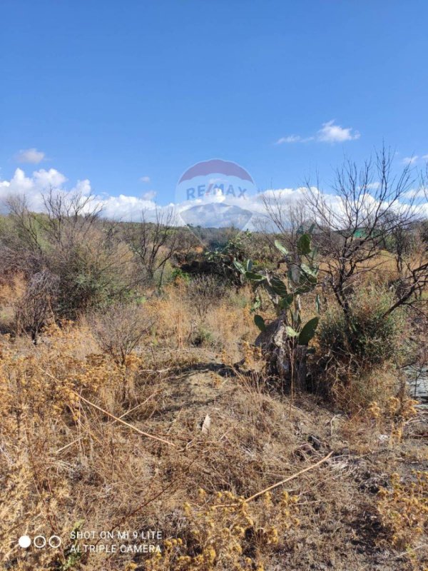 Agricultural land in Belpasso