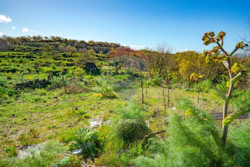 Landwirtschaftliche Fläche in Belpasso
