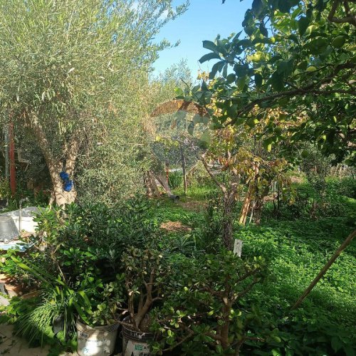 Agricultural land in Misterbianco