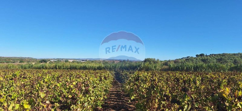 Terrain agricole à Noto