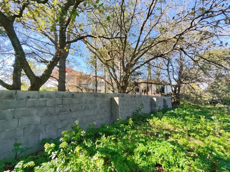 Building plot in Pedara