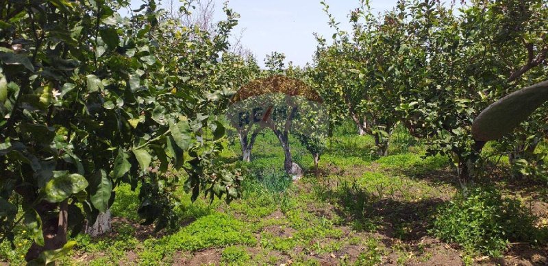 Terreno agricolo a Fiumefreddo di Sicilia