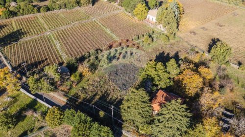 Landbouwgrond in Pedara