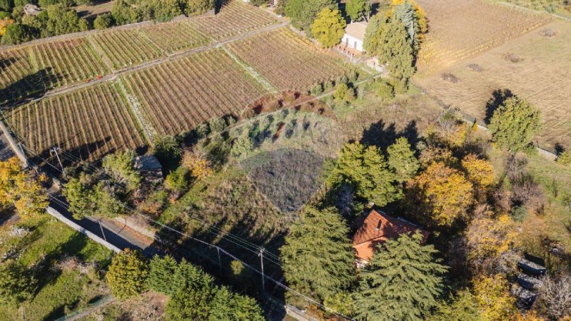 Landbouwgrond in Pedara