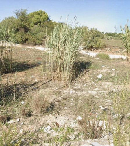 维多利亚建筑用地