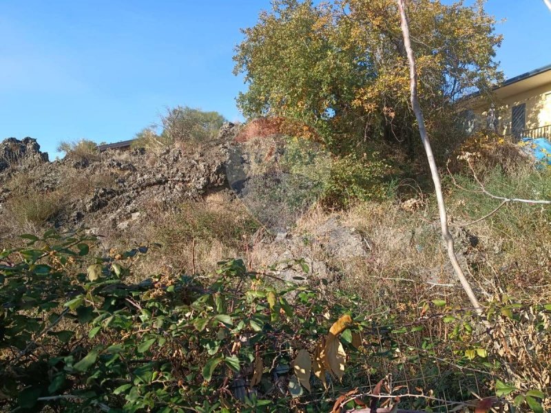 Building plot in Nicolosi