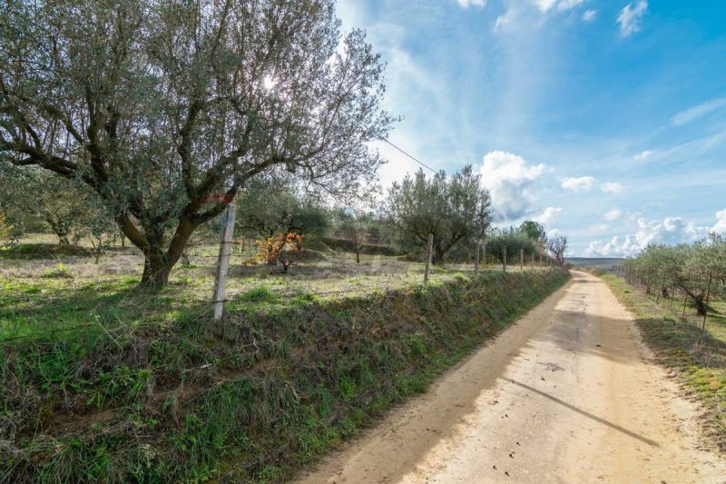 Сельскохозяйственный участок в Пьяцца-Армерина