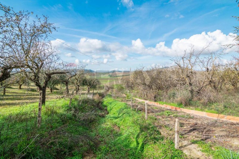 Agricultural land for sale in Piazza Armerina [794169] | Gate-away®