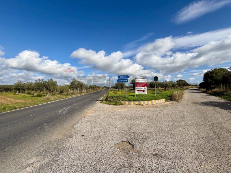 基亚拉蒙特古尔菲农用土地