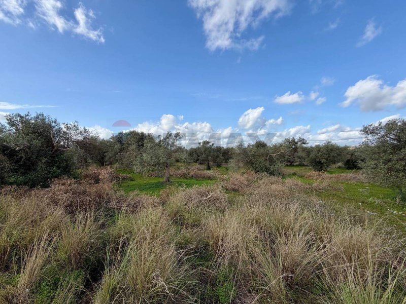 基亚拉蒙特古尔菲农用土地
