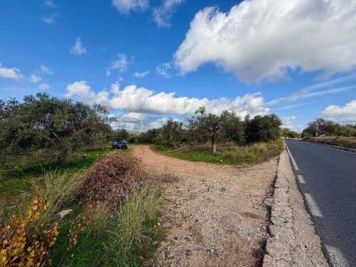 基亚拉蒙特古尔菲农用土地