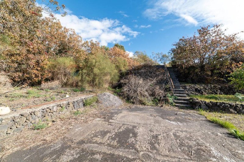 Terreno edificable en Mascalucia