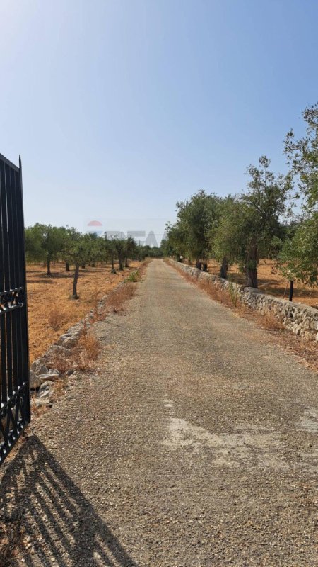 Agricultural land for sale in Priolo Gargallo [795058] | Gate-away®