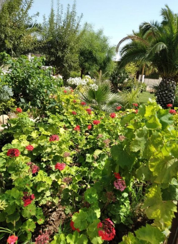 Agricultural land for sale in Scicli [795730] | Gate-away®