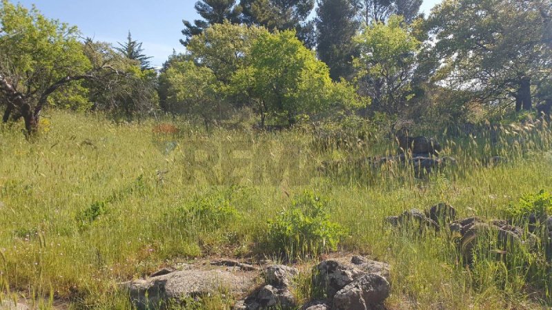 Сельскохозяйственный участок в Бьянкавилла