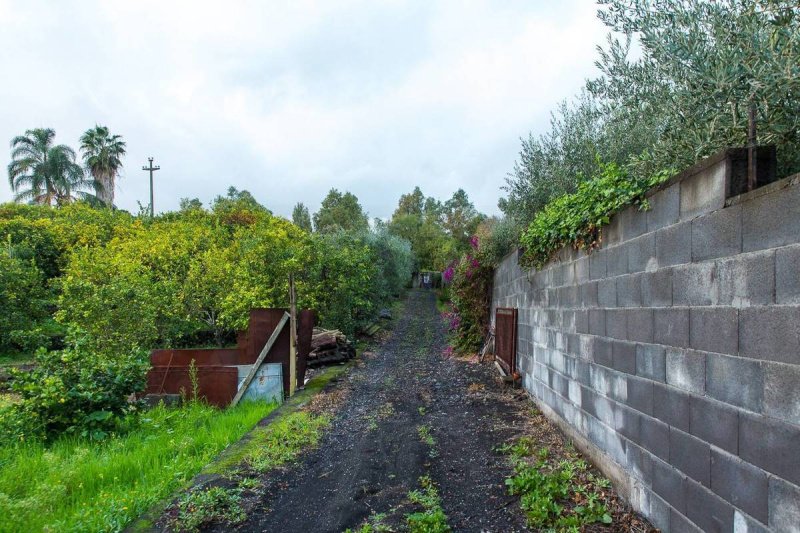 圣韦内里娜农用土地