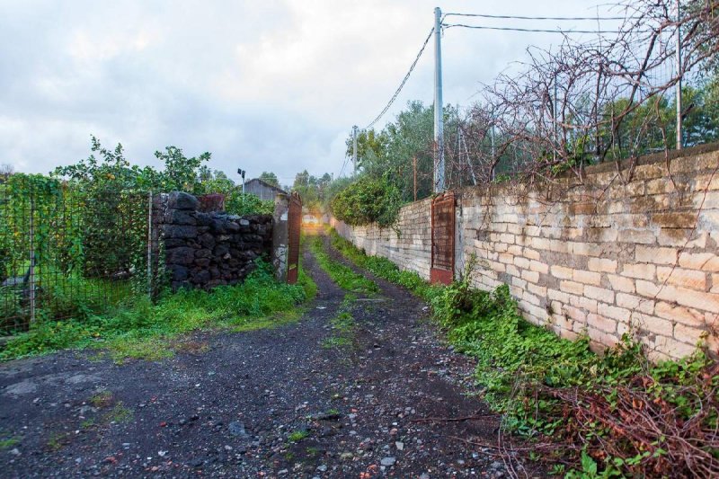 圣韦内里娜农用土地