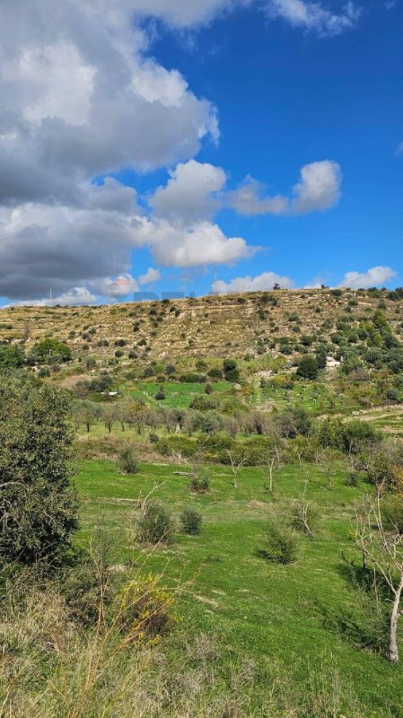 Bouwgrond in Noto