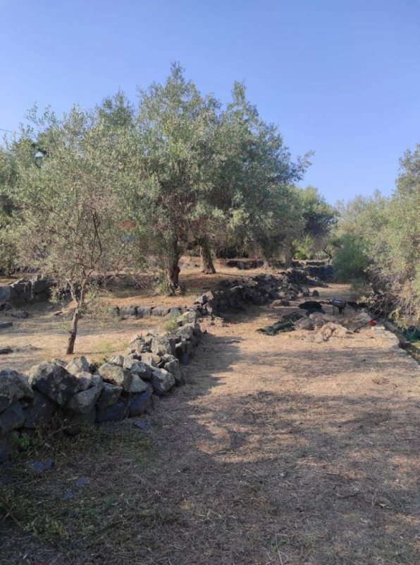 Agricultural land in Aci Castello