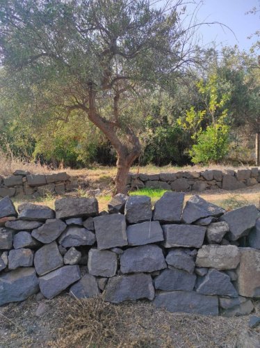 Terreno agrícola em Aci Castello