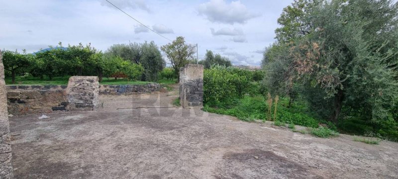 Terrain agricole à Paternò