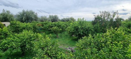 Jordbruksmark i Paternò