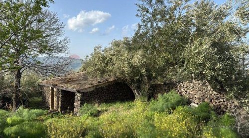 Сельскохозяйственный участок в Рандаццо