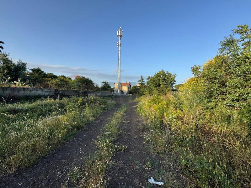 Landbouwgrond in Mascalucia