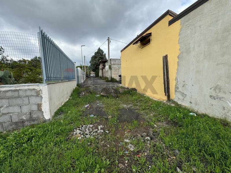 马斯卡卢恰农用土地