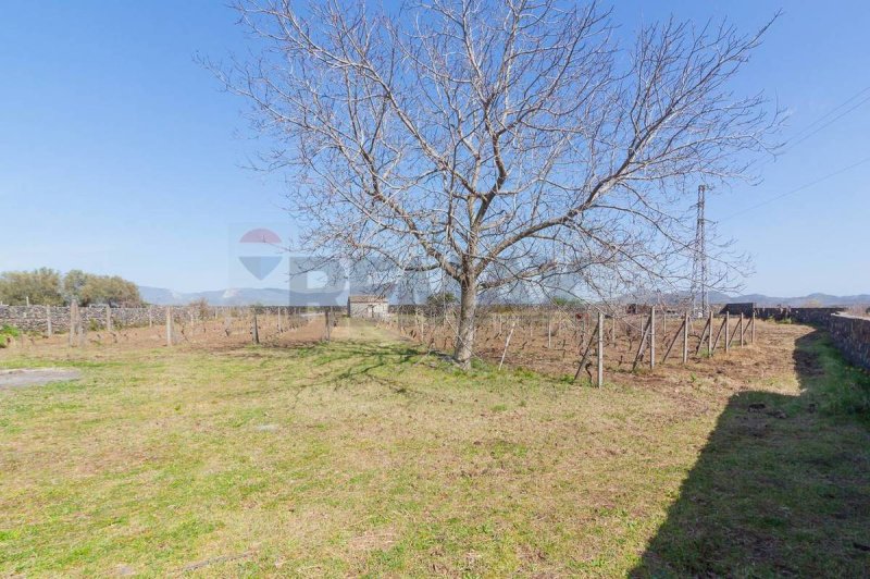 Сельскохозяйственный участок в Кастильоне-ди-Сицилия