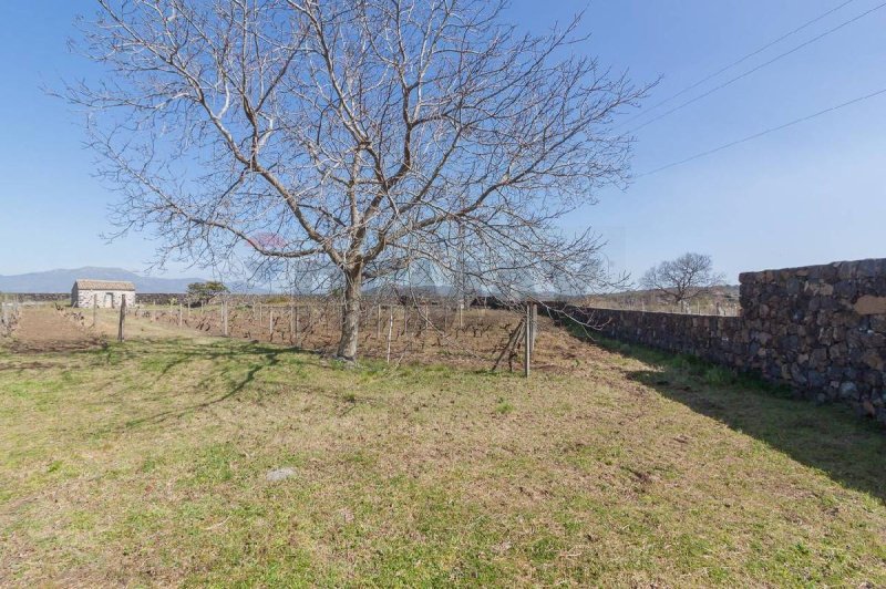 Agricultural land for sale in Castiglione Di Sicilia [797756] | Gate-away®