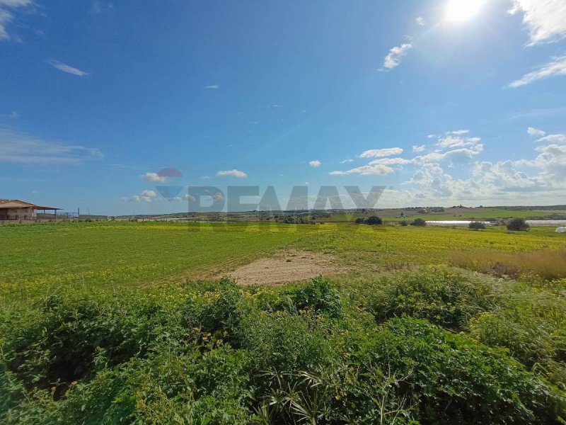 Сельскохозяйственный участок в Ното