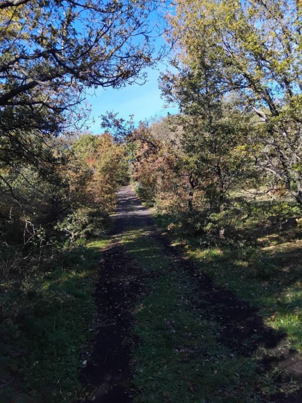 Jordbruksmark i Ragalna