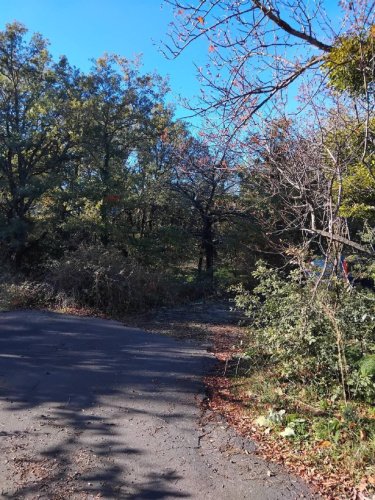 Jordbruksmark i Ragalna