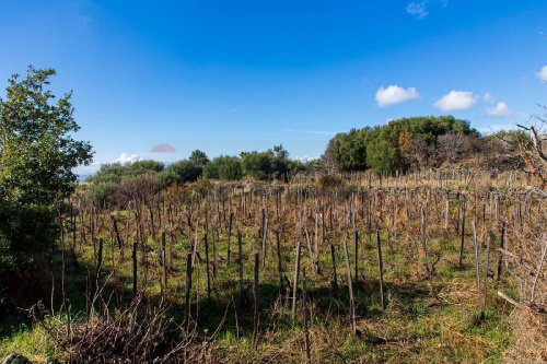Сельскохозяйственный участок в Бьянкавилла