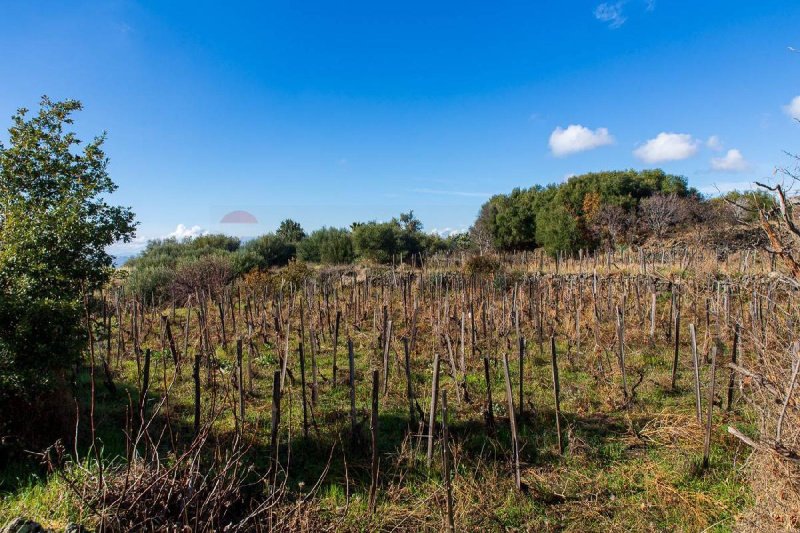 Сельскохозяйственный участок в Бьянкавилла
