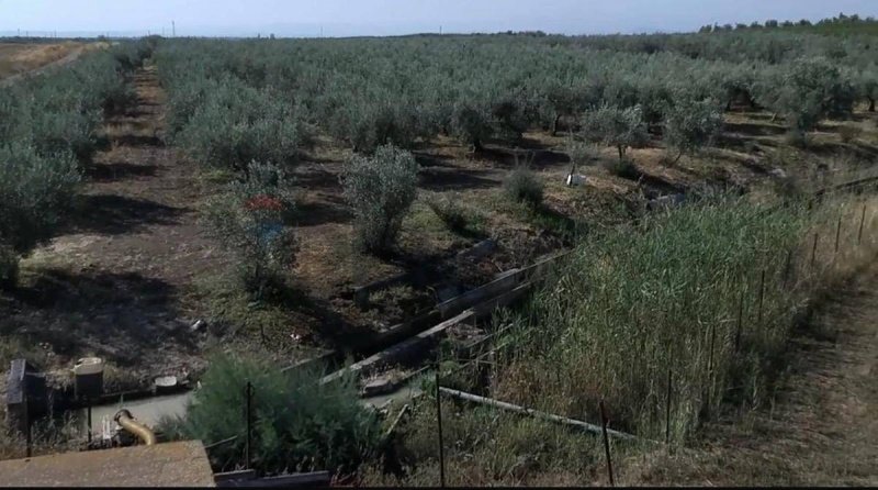 Сельскохозяйственный участок в Патерно